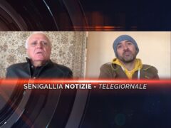 senigallia notizie telegiornale