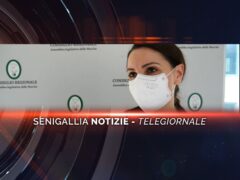 senigallia notizie telegiornale