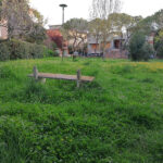 Incuria nel verde dei giardini di via L'Aquila