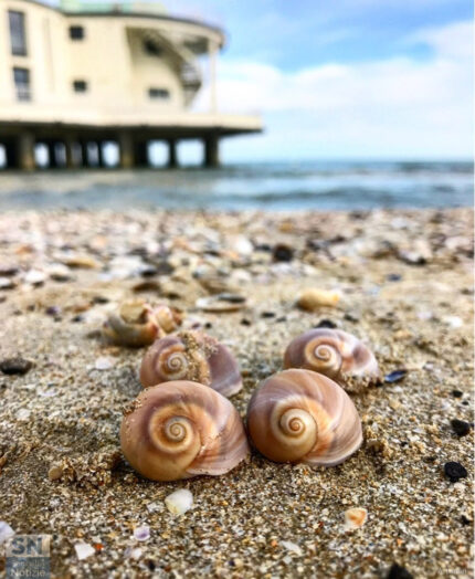 Spirali e Rotonda - Foto di Andrea Lanari