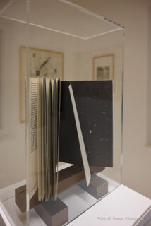 Giovanna Sandri - Foto di Anna Mencaroni