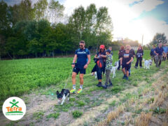 Per Terra - Passi curiosi in festa