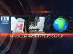 senigallia notizie telegiornale