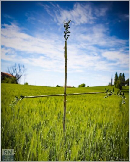 Campagne senigalliesi - Tradizioni contadine, le croci di maggio - Foto di Roberto Canestrari