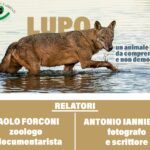 Un evento dedicato al lupo organizzato dal GSA di Senigallia