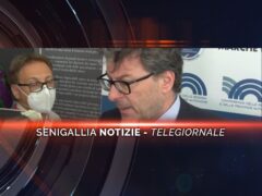 senigallia notizie telegiornale