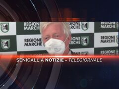 senigallia notizie telegiornale