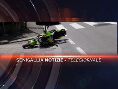 senigallia notizie telegiornale (1)