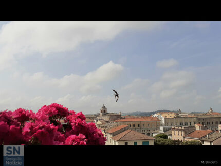 Tu chiamale se vuoi... emozioni - Foto di Mirella Baldetti