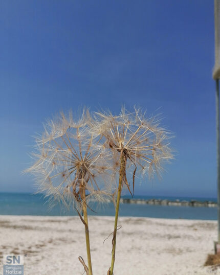 A un soffio dal mare - Foto di Roberta Bisci