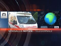 senigallia notizie telegiornale