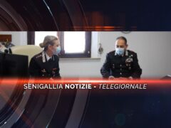 senigallia notizie telegiornale