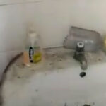 Situazione bagni pubblici al Parco della Pace di Senigallia