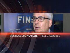 senigallia notizie telegiornale