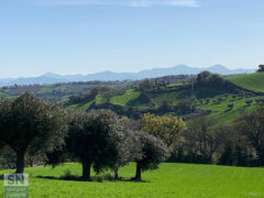 I monti Catria e Acuto da Scapezzano - Foto di Rossano Morici