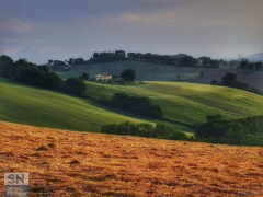 Veduta di campagna - Foto di Floriana Giacchini