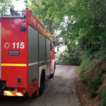 Vigili del Fuoco liberano via Fontenuovo da un albero caduto in strada
