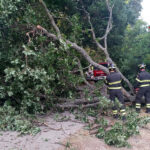 Vigili del Fuoco liberano via Fontenuovo da un albero caduto in strada