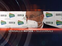 senigallia notizie telegiornale