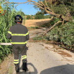 Intervento dei Vigili del Fuoco per alberi caduti e rami pericolanti dopo il maltempo del 7 luglio 2022