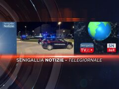 senigallia notizie-telegiornale