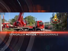 senigallia notizie telegiornale