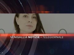 senigallia notizie telegiornale