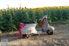 Tra Scapezzano e Roncitelli, inchino alla vita - Foto di Roberta Bisci