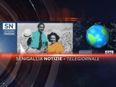 senigallia notizie telegiornale