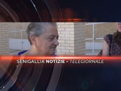 senigallia notizie telegiornale