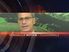 senigallia notizie telegiornale