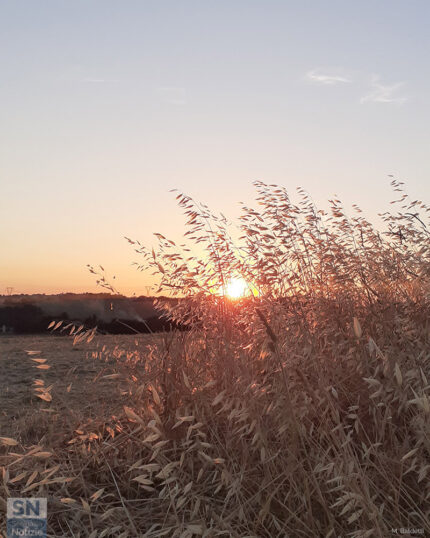 L'ora del tramonto - Foto di Mirella Baldetti