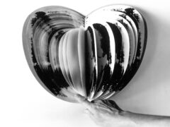 "Libro Nori" di Gisella Meo