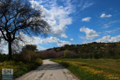 A Scapezzano - Foto di Massimo Modesti