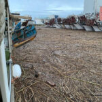 Darsena del porto di Senigallia invasa da detriti dopo ondata di maltempo