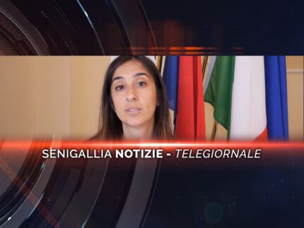 senigallia notizie telegiornale