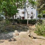 Alberi abbattuti al Parco Lorrach