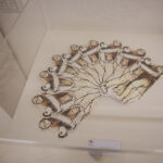 Gisella Meo - dal Modulo alle Squame - foto di Patrizia Lo Conte