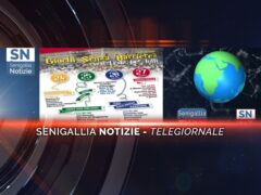 senigallia notizie telegiornale