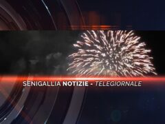 senigallia notizie telegiornale
