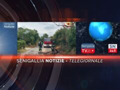senigallia notizie telegiornale