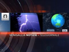 senigallia notizie telegiornale
