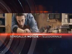 senigallia notizie telegiornale