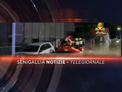 senigallia notizie telegiornale