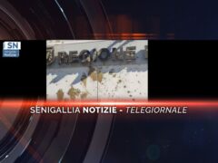 senigallia notizie telegiornale