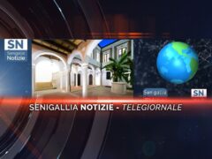 senigallia notizie telegiornale