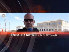 -senigallia notizie telegiornale