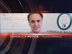 senigallia notizie telegiornale
