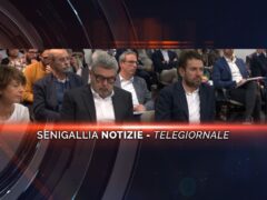 senigallia notizie telegiornale