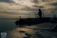 Il pescatore - Foto di Daniele Brescini